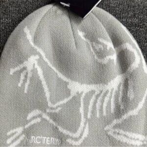Arc'teryx Light Gray Knit Hat
